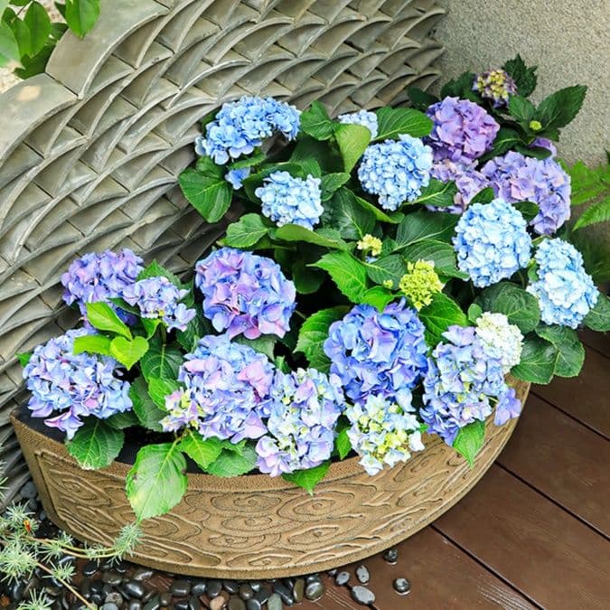 ガーデニング 和風彫刻の丸型花鉢
