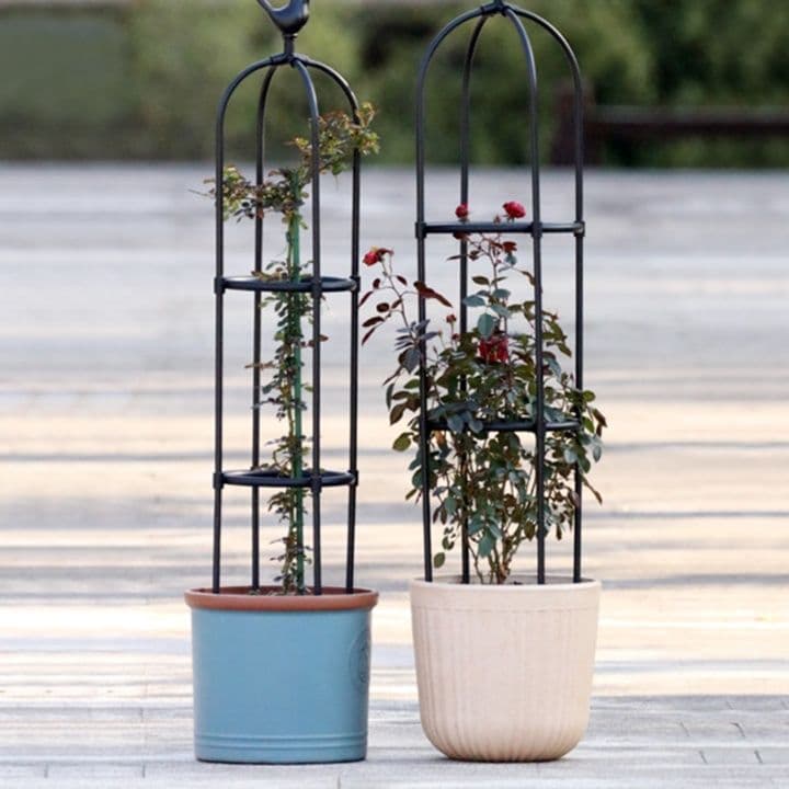 ガーデニング 小鳥のとまり木 つる植物支柱プランター
