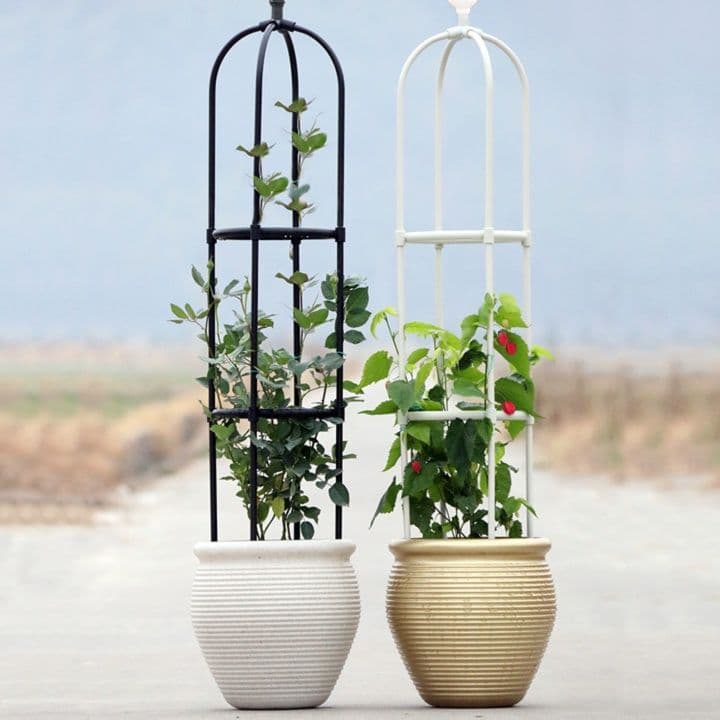 ガーデニング 小鳥のとまり木 つる植物支柱プランター