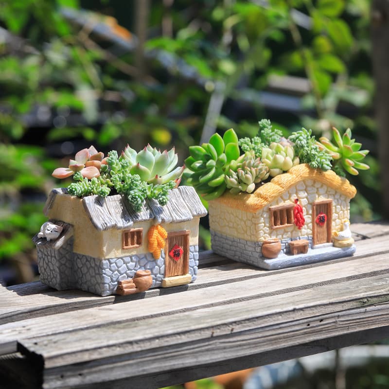 ガーデニング 多肉植物の小さな村 プランターハウス